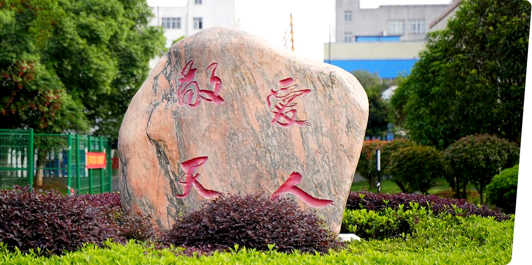 我們的核心價值觀